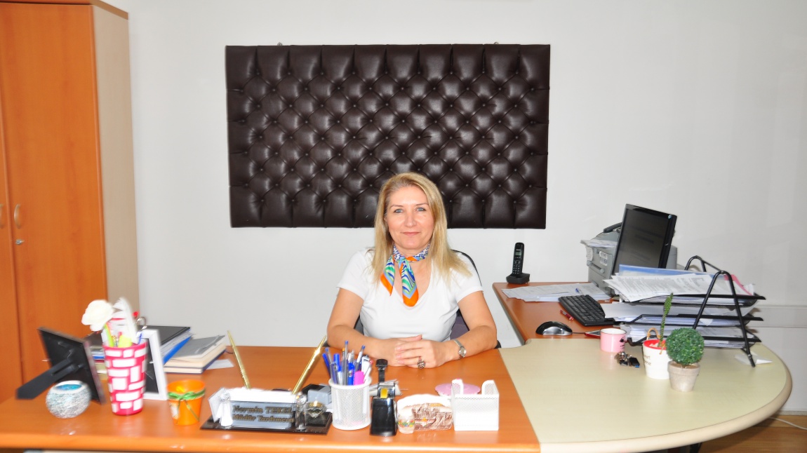Nermin TEKEL - Müdür Yardımcısı